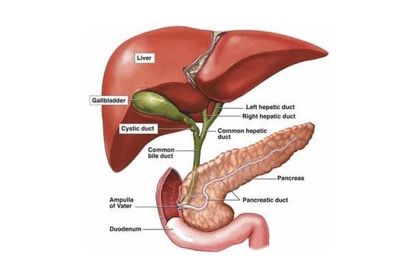 Gall Bladder Cancer Surgery