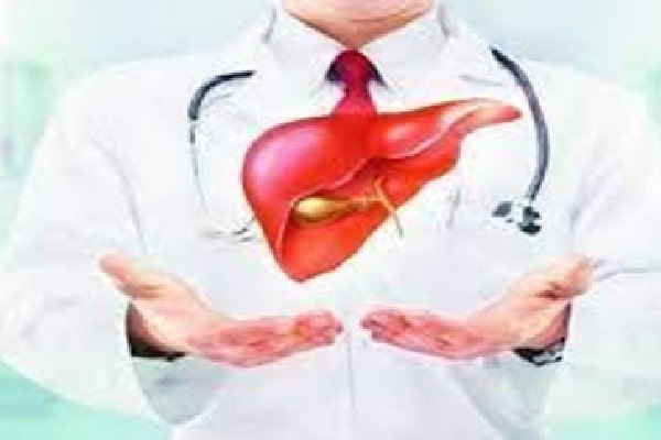 Liver Surgery