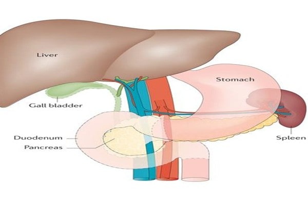 Pancreatic Surgery