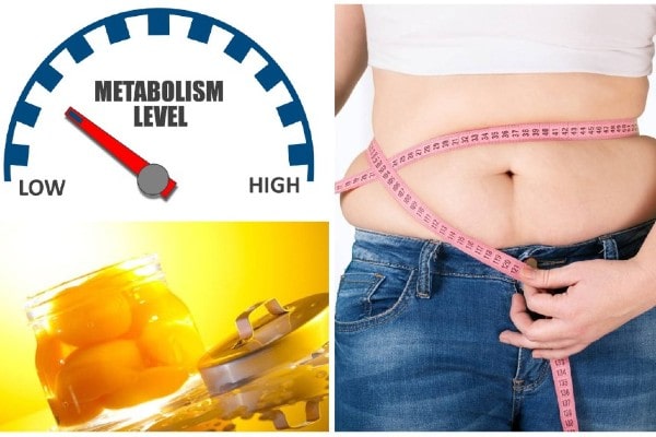 Things That Slow Your Metabolism